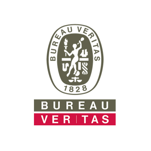 Bureau Veritas Logo